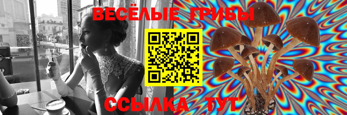 Россошь  Псилоцибиновые грибы MAGIC MUSHROOMS  Вход с VPN 